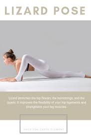 Yoga For The Earth Element Blissflow Lizard Pose Yoga Poses Yoga