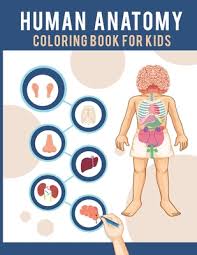 The human rib cage, the ribs. Human Anatomy Coloring Book For Kids Human Body Coloring Pages Fun And Educational Way To Learn About Human Anatomy Gift For Kids By Fallakdess Publishing