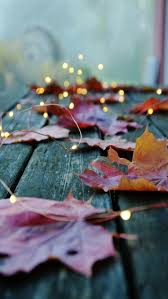 Blogger Herfst Fotografie Herfst Wallpaper Iphone Herfstfotografie