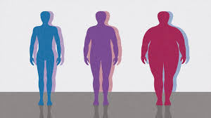 Obesity is a medical condition in which excess body fat has accumulated to an extent that it may have a negative effect on health. Body Mass Index Bmi Numbers And Obesity Levels Everyday Health