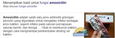 Sobat jangan panik dan jangan khawatir, jika masih rejeki dapat sembuh dengan catatan kita masih berusaha untuk mengobatinya. Cara Sembuhkan Snot Pada Lovebird Cara Alami Dan Menggunakan Obat Cara Gacor