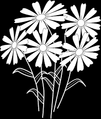 Fiori Da Colorare Belle Immagini Dal Giardino Della Natura Fiori Da Colorare Belle Immagini Dal Giardino Della Natura Colorare Disegni Per Colorare Fiori Fiore 504 597 Png Trasparente Scarica Gratis Fiore