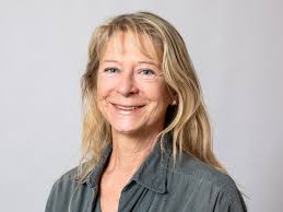 Nonsmooth Variational Problems and Operator Equations