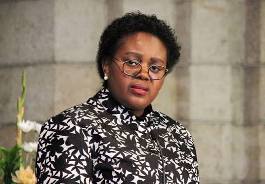 Labour Court rules that deputy DG fired by Minister Kubayi over 'lift incident' can return to work | News24