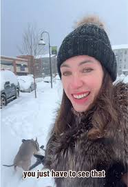 Exploring Manassas, Virginia: A Snowy Adventure