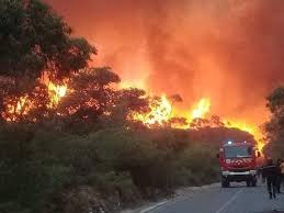 حرائق الغابات تخلف ضحيتين بتيبازة وتتلف عديد الهكتارات بعدد من مناطق الوطن الإذاعة الجزائرية