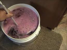 making blueberry wine you