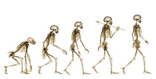 Darwin is home from the voyage of the beagle , a young man living in london, and thinks that perhaps species have evolved over time. The Science Of Attractiveness Darwin S Theory Of Evolution In Today S Society Hall High Scientific Journal