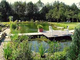 See a rich collection of nature images, photos or vectors for any project. Naturagart Teichforum Schwimmteich Gartenteich Selber Bauen