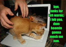 Lolcats Goodbye Lol At Funny Cat Memes Funny Cat Pictures With Words On Them Lol Cat Memes Funny Cats Funny Cat Pictures With Words On