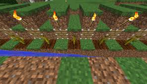 Discover how to collect seeds, prepare the soil, and farm efficiently. Why Aren T My Pumpkins Growing Survival Mode Minecraft Java Edition Minecraft Forum Minecraft Forum