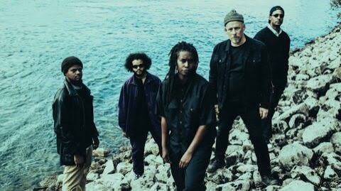 A Call to Action from Irreversible Entanglements: "Vibrate Higher, Beyond  the Noise"
