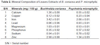 Image result for Buchholzia