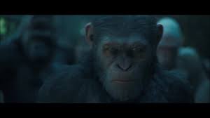 War for the Planet of the Apes (2017) - IMDb
