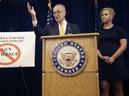 Senator share the same last name and ancestry, as well as how they've teamed up on public issues. Comic Amy Schumer Cousin U S Sen Schumer Call For Improved Background Checks For Gun Buyers The Blade
