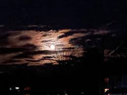 North Stonington Weekly Update 12-4-2020- Last day of Sheets Family Forest  fundraiser donations due by 5pm, John Dean Gallup House discussion Monday,  congrats to North Stonington Schools and more!!!