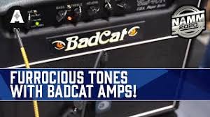 A boutique desktop tube amp: Bad Cat Paw At Namm 2020 The Gear Page