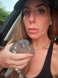 What to do with a blue banded pigeon in Missouri?