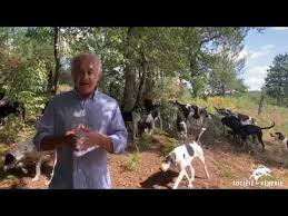 Réclamer à cor et à cri. Militants A Cor Et A Cri Youtube