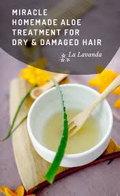 For the treatment of dry hair, you can prepare hair mask of avocado. 3 Best Homemade Treatments With Aloe For Dry And Damaged Hair La Lavanda Diy Cosmetic And Green Cleaning