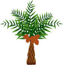 Select from premium palm oil icon of the highest quality. Forum For Sustainable Palm Oil A Joint Commitment To Sustainability
