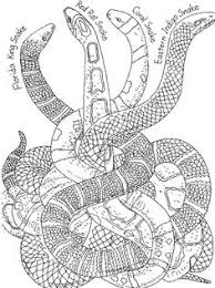 These snake coloring pages are perfect for kids who love these slippery reptiles. 120 Best Snake Coloring Pages Kids Ideas Coloring Pages Snake Coloring Pages Animal Coloring Pages