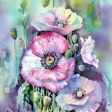 Val Doering (valdoering68)