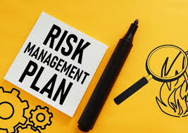 Image result for Risk Management