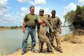 Image result for Gutenbergia