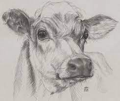 By dawn 75k 0% 0 0 mature content. Quick Drawing Of A Cow Donated To A Charity To Raise Funds To Feed Farm Animals Affected By Flooding Richa Pencil Drawings Of Animals Cow Art Animal Drawings