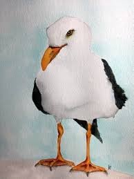 Birds Of Southern Illinois 