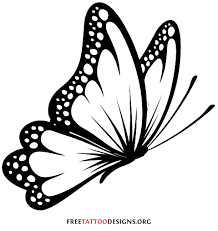 We did not find results for: Side View Butterfly Balck And White Google Search Butterfly Tattoo Designs Butterfly Outline Butterfly Drawing