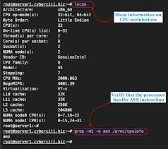 Aes (advanced encryption standard) is the gold standard when it comes to protecting your saas data. How To Find Out Aes Ni Advanced Encryption Enabled On Linux System Nixcraft