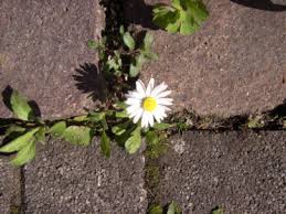 20 bilder mit inspirierenden zitaten lifecatcher. Kraft Und Zuversicht Finden