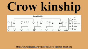 Crow Kinship