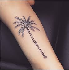 30 Superb Palm Tree Tattoo Designs And Meaning Tree Tattoo Men Palm Tree Tattoo Palm Tattoos