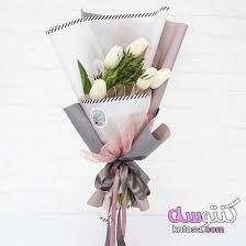 صور زهرة التوليب خلفيات ورمزيات وردة التوليب بالوانها صور ورد التوليب زهرة التوليب Plants