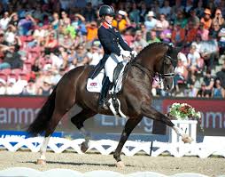Charlotte dujardin (gbr) and valegro beat their own world record in the grand prix freestyle last night during a thrilling reem acra fei world cup™ competiti. Charlotte And Valegro Strike European Freestyle Gold Horsetalk Co Nz