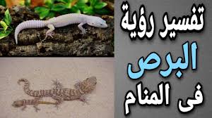 تفسير حلم المطر ينزل من سقف المنزل. ØªÙØ³ÙŠØ± Ø­Ù„Ù… Ø§Ù„Ù‚Ø±Ø¯ Ù…Ø§ Ù…Ø¹Ù†Ù‰ Ø±Ø¤ÙŠØ© Ø§Ù„Ù‚Ø±ÙˆØ¯ ÙÙ‰ Ø§Ù„Ù…Ù†Ø§Ù… Youtube