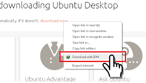 Want to know how to add idm extension in chrome? My Idm Internet Download Manager Doesn T Recognize Downloads Anymore Why Zenmate Vpn