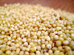 Good Grains What Is Millet Food Millet Grain Foods