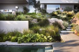 Bridle Road Residence Cape Town Contemporary Garden Design Modern Landscaping Landscape Design