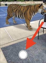 Click the 'view in 3d' button that will be clearly displayed, then click 'view in your space' to see the animal in your own surroundings. 3d Animals