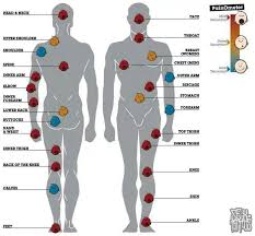 Tattoo aftercare tips, tattoo ideas, tattoo pain tips, tattoo tips. Pin On Tattoos To Dream About