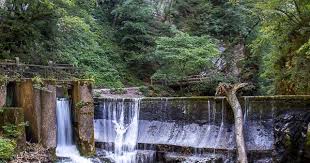 Blejska Dobrava Jesenice Slovenia Slovenia Trip Outdoor