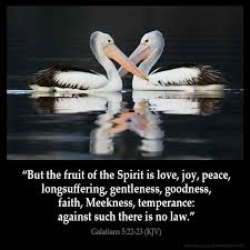 Pin On Kjv Bible Verses