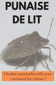 Pour éviter les piqûres de puces et de punaises de lit à répétition et l'accrochage d'une tique à votre peau, rien de telle que la redoutable huile essentielle de lavande vraie ! Huiles Essentielles Contre Les Punaises De Lit Huiles Essentielles Aromatherapie Punaises De Lit Nettoyant Pour Four Fait Maison Odeurs De Maison