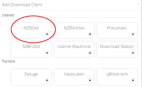 Maybe you would like to learn more about one of these? Configuring Your Usenet Provider And Indexer With Sonarr Radarr On Unraid