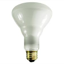 The circular perimeter and the clear piece that allows light to filter through. Choosing Recessed Shower Lights 1000bulbs Com Blog