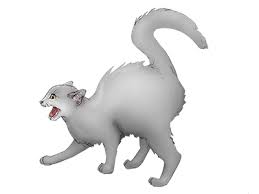 Cats may develop separation anxiety for a range of reasons, including traumatic. Feline Behavior Problems Aggression Cornell University College Of Veterinary Medicine